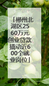 郴州北湖区2560万元创业贷款撬动近600个就业岗位