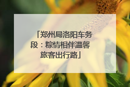 郑州局洛阳车务段：粽情相伴温馨旅客出行路