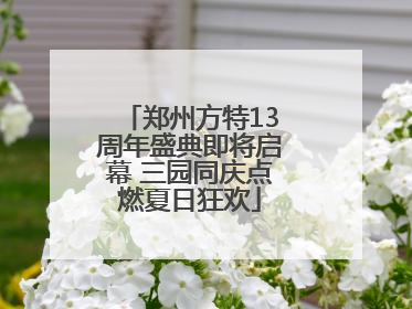 郑州方特13周年盛典即将启幕 三园同庆点燃夏日狂欢