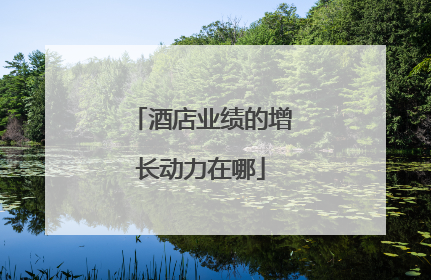 酒店业绩的增长动力在哪