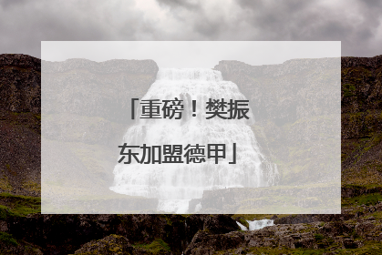 重磅！樊振东加盟德甲