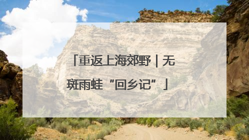 重返上海郊野｜无斑雨蛙“回乡记”