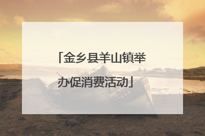 金乡县羊山镇举办促消费活动