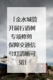 金水城管开展行道树专项修剪 保障交通信号灯清晰可见