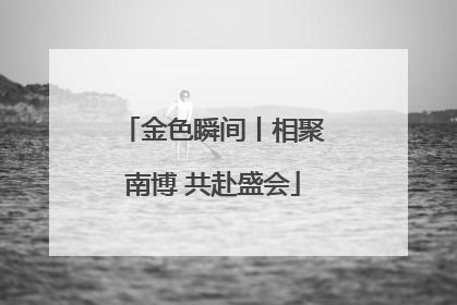 金色瞬间丨相聚南博 共赴盛会