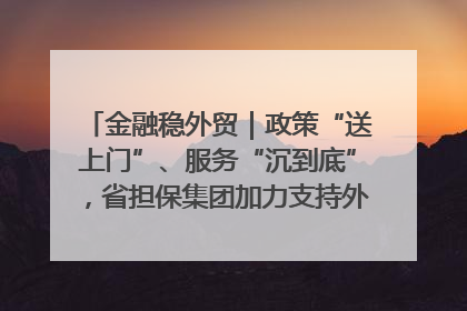 金融稳外贸｜政策“送上门”、服务“沉到底”，省担保集团加力支持外经贸高质量发展
