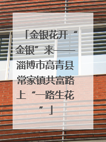 金银花开“金银”来——淄博市高青县常家镇共富路上“一路生花”