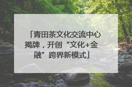 青田茶文化交流中心揭牌，开创“文化+金融”跨界新模式