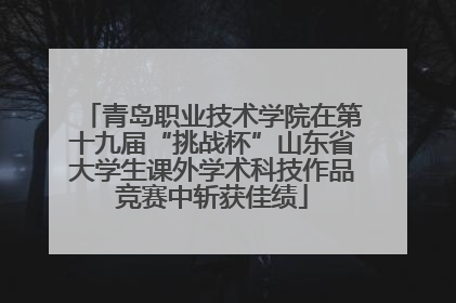 青岛职业技术学院在第十九届“挑战杯”山东省大学生课外学术科技作品竞赛中斩获佳绩