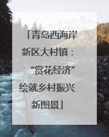 青岛西海岸新区大村镇：“赏花经济”绘就乡村振兴新图景