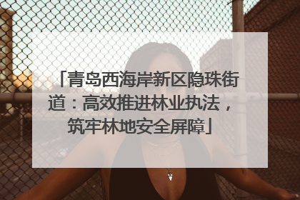 青岛西海岸新区隐珠街道：高效推进林业执法，筑牢林地安全屏障