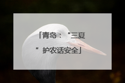 青岛：“三夏”护农话安全