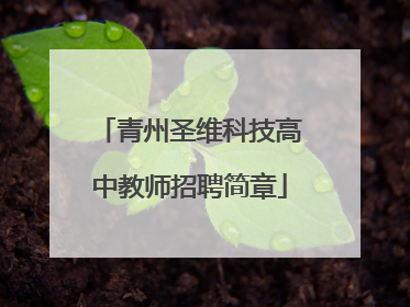 青州圣维科技高中教师招聘简章