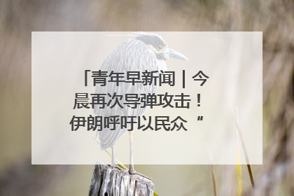 青年早新闻｜今晨再次导弹攻击！伊朗呼吁以民众“勿作人肉盾牌”