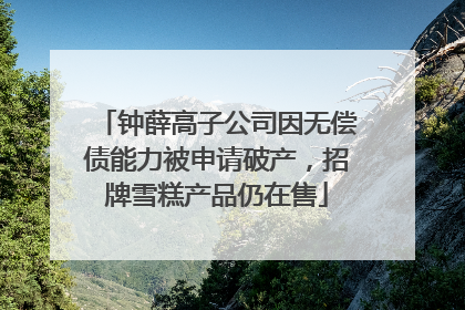 钟薛高子公司因无偿债能力被申请破产，招牌雪糕产品仍在售