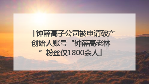 钟薛高子公司被申请破产 创始人账号“钟薛高老林”粉丝仅1800余人