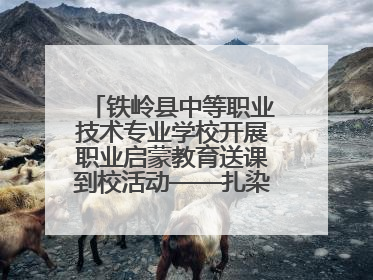 铁岭县中等职业技术专业学校开展职业启蒙教育送课到校活动——扎染艺术与电商营销走进熊官屯镇中心小学