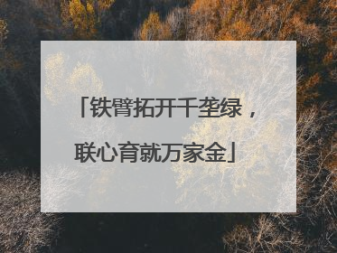 铁臂拓开千垄绿，联心育就万家金