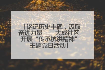 铭记历史丰碑，汲取奋进力量——大成社区开展“传承抗洪精神”主题党日活动