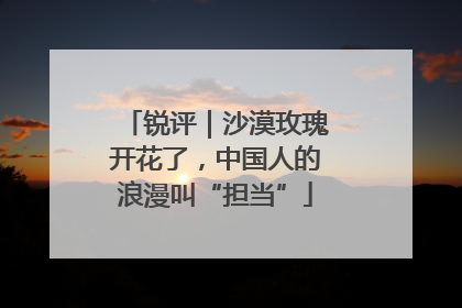 锐评｜沙漠玫瑰开花了，中国人的浪漫叫“担当”
