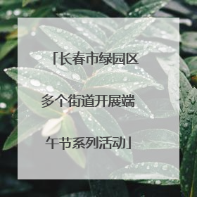 长春市绿园区多个街道开展端午节系列活动
