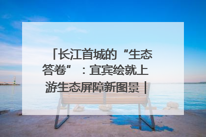 长江首城的“生态答卷”：宜宾绘就上游生态屏障新图景｜中华环保世纪行