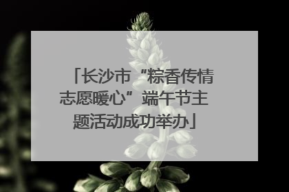 长沙市“粽香传情志愿暖心”端午节主题活动成功举办