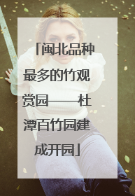 闽北品种最多的竹观赏园——杜潭百竹园建成开园