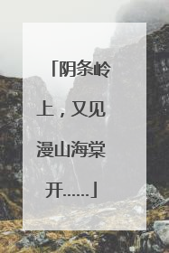 阴条岭上，又见漫山海棠开……
