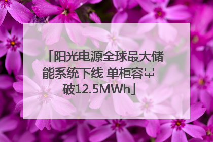 阳光电源全球最大储能系统下线 单柜容量破12.5MWh