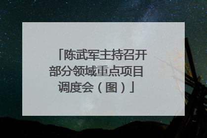 陈武军主持召开部分领域重点项目调度会（图）