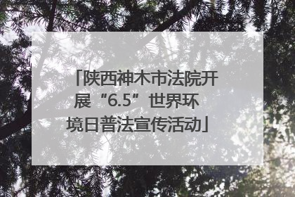 陕西神木市法院开展“6.5”世界环境日普法宣传活动