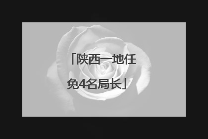 陕西一地任免4名局长