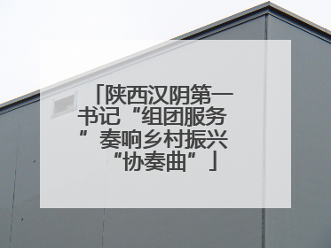陕西汉阴第一书记“组团服务”奏响乡村振兴“协奏曲”
