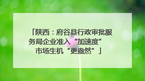 陕西：府谷县行政审批服务局企业准入“加速度” 市场生机“更盎然”