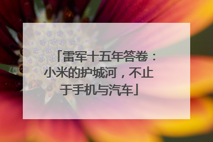 雷军十五年答卷：小米的护城河，不止于手机与汽车