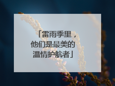 雷雨季里，他们是最美的温情护航者