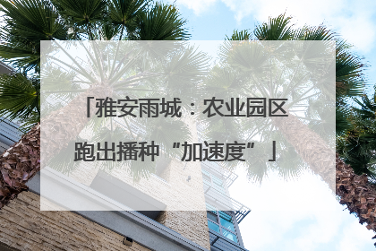 雅安雨城：农业园区跑出播种“加速度”