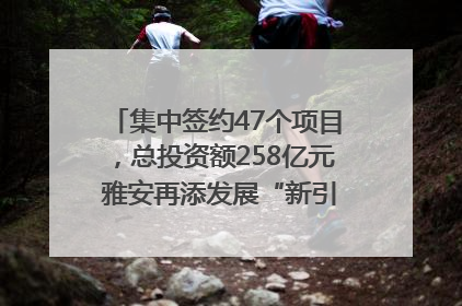 集中签约47个项目，总投资额258亿元 雅安再添发展“新引擎”｜数读西投