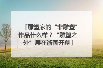 雕塑家的“非雕塑”作品什么样？“雕塑之外”展在浙图开幕