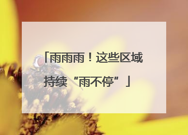雨雨雨！这些区域持续“雨不停”