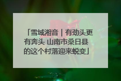 雪域湘音｜有劲头更有奔头 山南市桑日县的这个村落迎来蜕变
