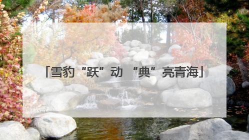 雪豹“跃”动 “典”亮青海