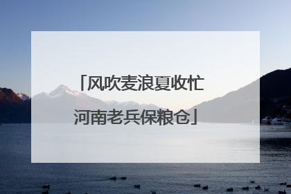 风吹麦浪夏收忙 河南老兵保粮仓