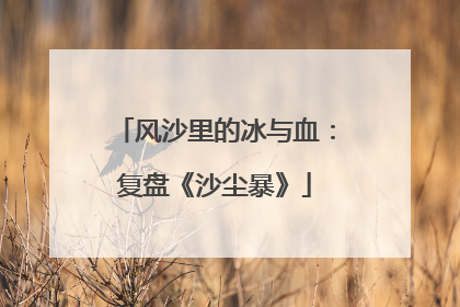 风沙里的冰与血：复盘《沙尘暴》