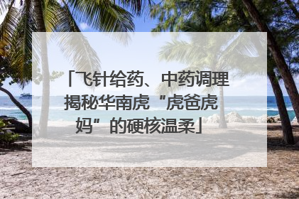 飞针给药、中药调理 揭秘华南虎“虎爸虎妈”的硬核温柔