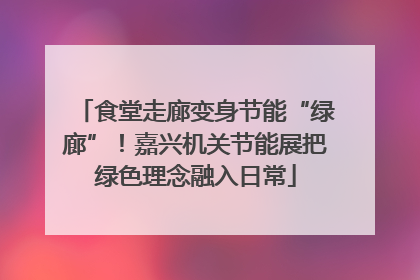 食堂走廊变身节能“绿廊”！嘉兴机关节能展把绿色理念融入日常