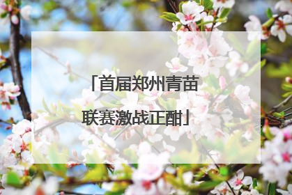 首届郑州青苗联赛激战正酣
