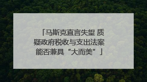 马斯克直言失望 质疑政府税收与支出法案能否兼具“大而美”