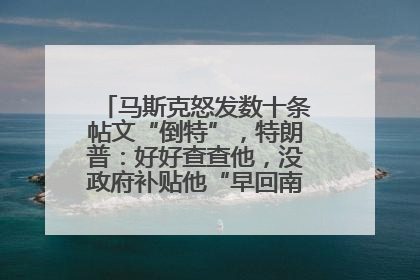 马斯克怒发数十条帖文“倒特”，特朗普：好好查查他，没政府补贴他“早回南非老家”了